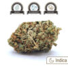 blueberry-1-300x278