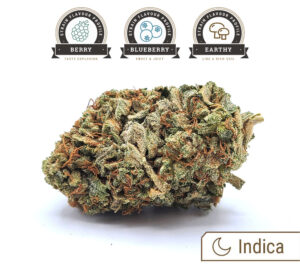 blueberry-1-300x278